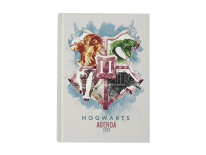 harry-potter-agenda-diario-casate-di-hogwarts-2021-sd-toys
