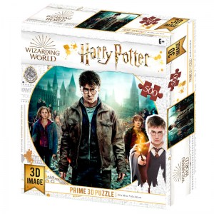 harry-potter-hermione-ron-3d-puzzle-500pz